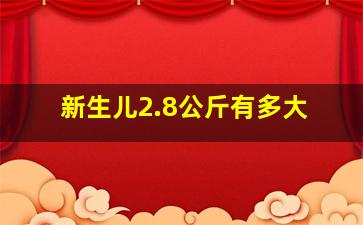 新生儿2.8公斤有多大