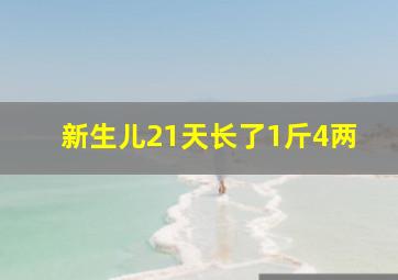 新生儿21天长了1斤4两