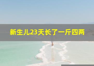 新生儿23天长了一斤四两