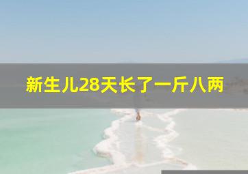 新生儿28天长了一斤八两