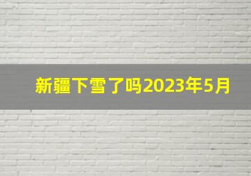 新疆下雪了吗2023年5月