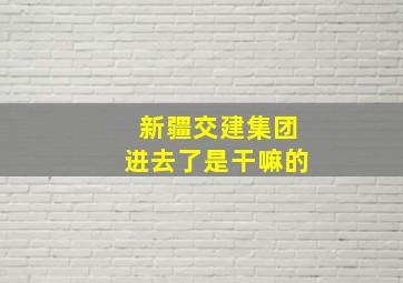 新疆交建集团进去了是干嘛的