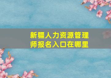 新疆人力资源管理师报名入口在哪里