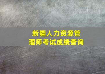 新疆人力资源管理师考试成绩查询