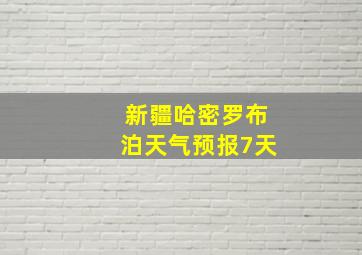 新疆哈密罗布泊天气预报7天