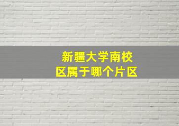 新疆大学南校区属于哪个片区