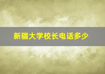 新疆大学校长电话多少