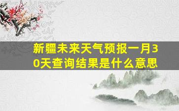 新疆未来天气预报一月30天查询结果是什么意思