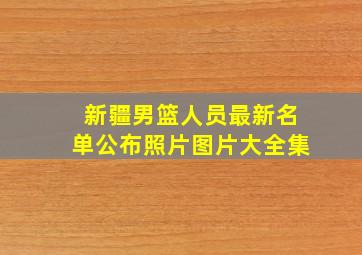 新疆男篮人员最新名单公布照片图片大全集