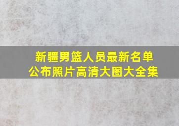 新疆男篮人员最新名单公布照片高清大图大全集