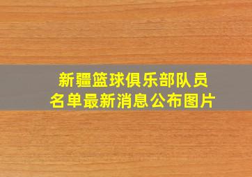 新疆篮球俱乐部队员名单最新消息公布图片