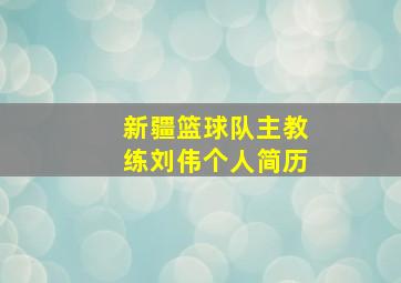 新疆篮球队主教练刘伟个人简历