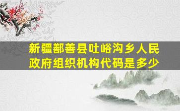 新疆鄯善县吐峪沟乡人民政府组织机构代码是多少