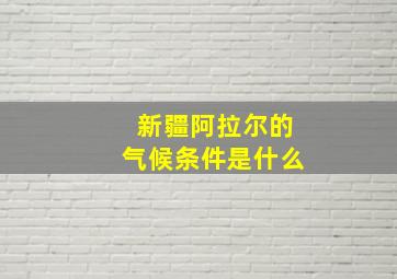 新疆阿拉尔的气候条件是什么