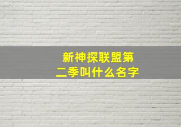 新神探联盟第二季叫什么名字