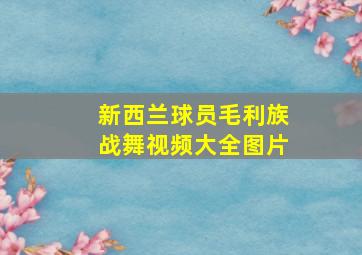 新西兰球员毛利族战舞视频大全图片