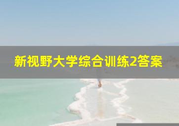 新视野大学综合训练2答案