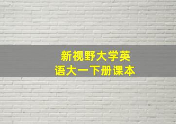 新视野大学英语大一下册课本