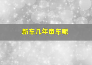 新车几年审车呢