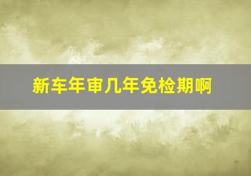 新车年审几年免检期啊