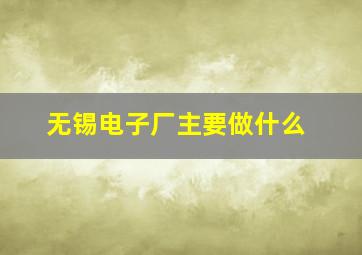 无锡电子厂主要做什么