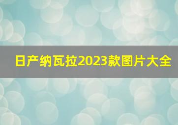 日产纳瓦拉2023款图片大全