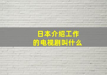 日本介绍工作的电视剧叫什么