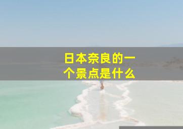 日本奈良的一个景点是什么