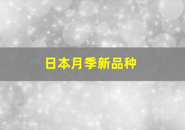 日本月季新品种