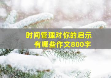 时间管理对你的启示有哪些作文800字