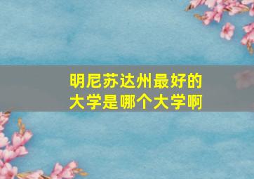 明尼苏达州最好的大学是哪个大学啊