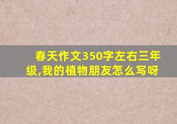 春天作文350字左右三年级,我的植物朋友怎么写呀