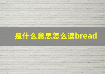 是什么意思怎么读bread