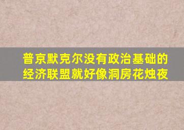 普京默克尔没有政治基础的经济联盟就好像洞房花烛夜