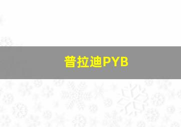 普拉迪PYB