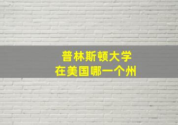 普林斯顿大学在美国哪一个州