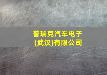 普瑞克汽车电子(武汉)有限公司