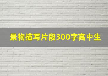 景物描写片段300字高中生