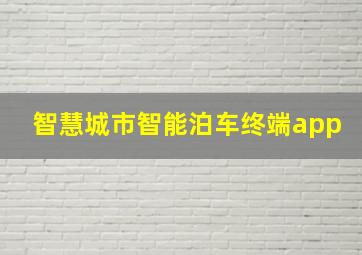 智慧城市智能泊车终端app