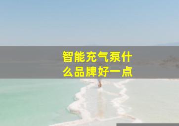 智能充气泵什么品牌好一点