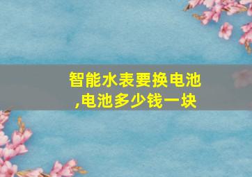 智能水表要换电池,电池多少钱一块