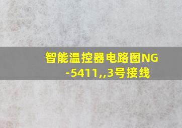 智能温控器电路图NG-5411,,3号接线