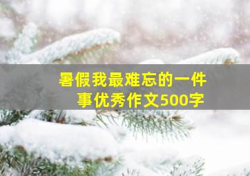 暑假我最难忘的一件事优秀作文500字