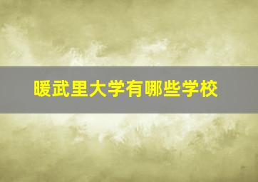 暖武里大学有哪些学校