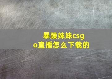 暴躁妹妹csgo直播怎么下载的