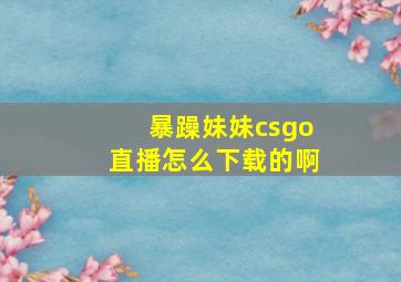 暴躁妹妹csgo直播怎么下载的啊