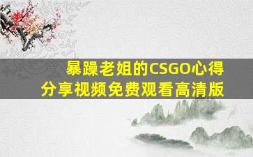 暴躁老姐的CSGO心得分享视频免费观看高清版