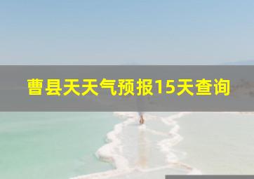 曹县天天气预报15天查询