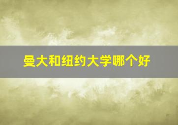 曼大和纽约大学哪个好