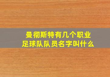 曼彻斯特有几个职业足球队队员名字叫什么